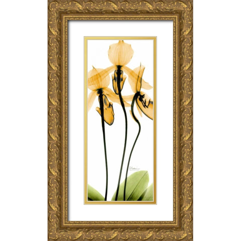 Orchid in Color Gold Ornate Wood Framed Art Print with Double Matting by Koetsier, Albert