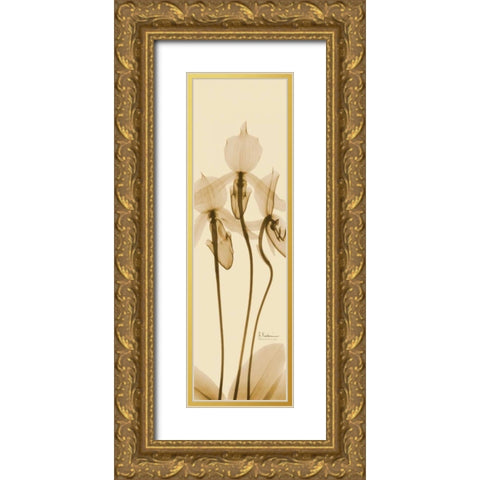 Orchid Brown on Beige Gold Ornate Wood Framed Art Print with Double Matting by Koetsier, Albert