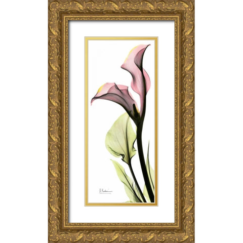 Calla Lily in Color Gold Ornate Wood Framed Art Print with Double Matting by Koetsier, Albert