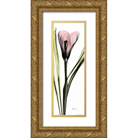 Crocus in Color Gold Ornate Wood Framed Art Print with Double Matting by Koetsier, Albert