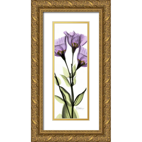 Gentian in Color Gold Ornate Wood Framed Art Print with Double Matting by Koetsier, Albert