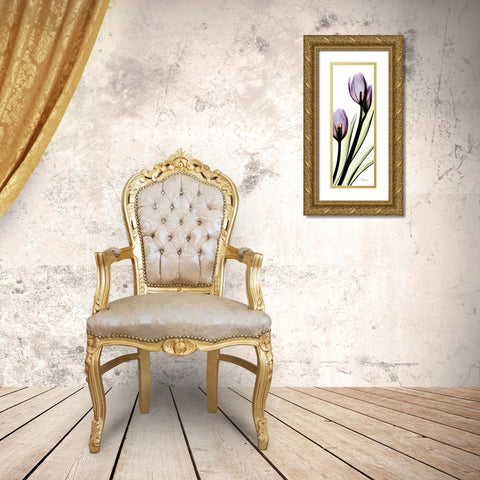 Tulip in Purple Gold Ornate Wood Framed Art Print with Double Matting by Koetsier, Albert