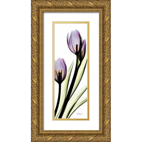 Tulip in Purple Gold Ornate Wood Framed Art Print with Double Matting by Koetsier, Albert