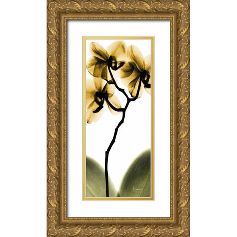 Orchid in Gold Gold Ornate Wood Framed Art Print with Double Matting by Koetsier, Albert