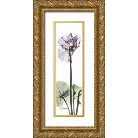 Cyclamen in Purple Gold Ornate Wood Framed Art Print with Double Matting by Koetsier, Albert