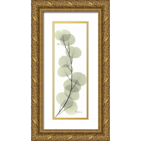 Eucalyptus in Green Gold Ornate Wood Framed Art Print with Double Matting by Koetsier, Albert