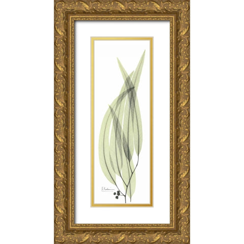 Eucalyptus in Green 2 Gold Ornate Wood Framed Art Print with Double Matting by Koetsier, Albert