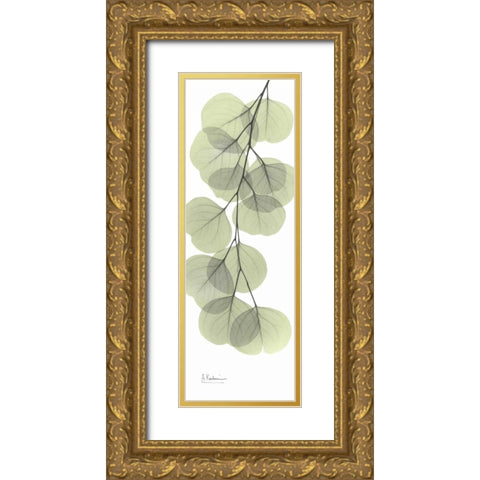 Eucalyptus in Green 3 Gold Ornate Wood Framed Art Print with Double Matting by Koetsier, Albert