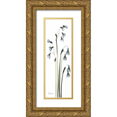 Snow Drop Galanthus Gold Ornate Wood Framed Art Print with Double Matting by Koetsier, Albert