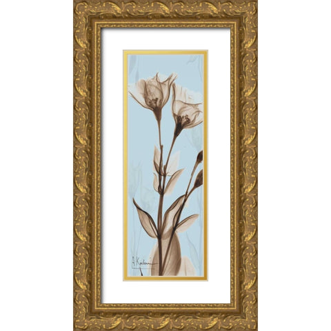 Flower 1 Gold Ornate Wood Framed Art Print with Double Matting by Koetsier, Albert