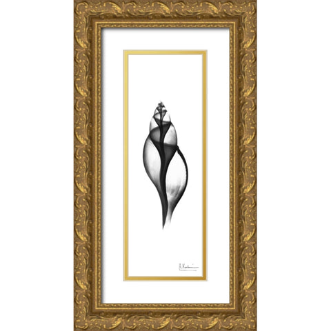 Tulip Shell Gold Ornate Wood Framed Art Print with Double Matting by Koetsier, Albert