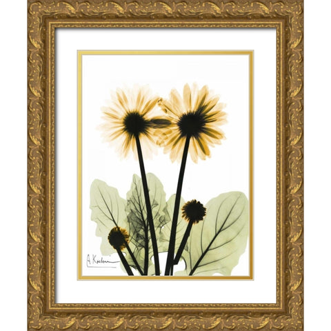 Gerbera in Color 2 Gold Ornate Wood Framed Art Print with Double Matting by Koetsier, Albert