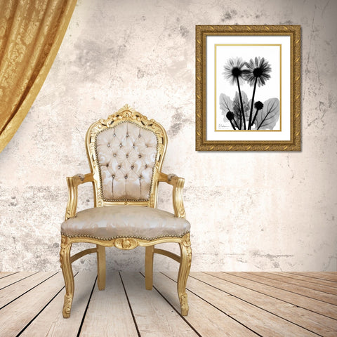 Gerbera BW Gold Ornate Wood Framed Art Print with Double Matting by Koetsier, Albert