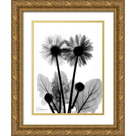 Gerbera BW Gold Ornate Wood Framed Art Print with Double Matting by Koetsier, Albert