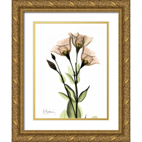 Gentian 3 Gold Ornate Wood Framed Art Print with Double Matting by Koetsier, Albert