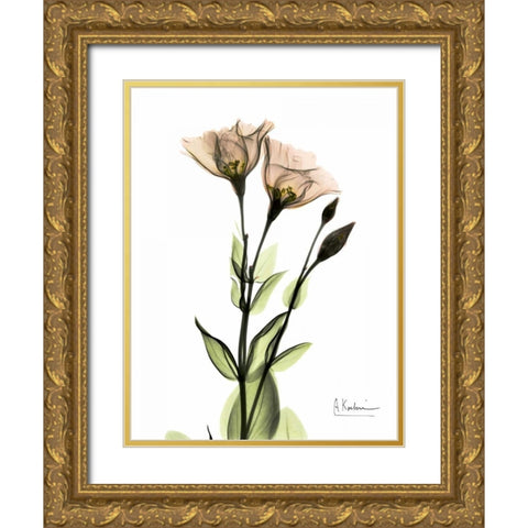 Gentian 2 Gold Ornate Wood Framed Art Print with Double Matting by Koetsier, Albert