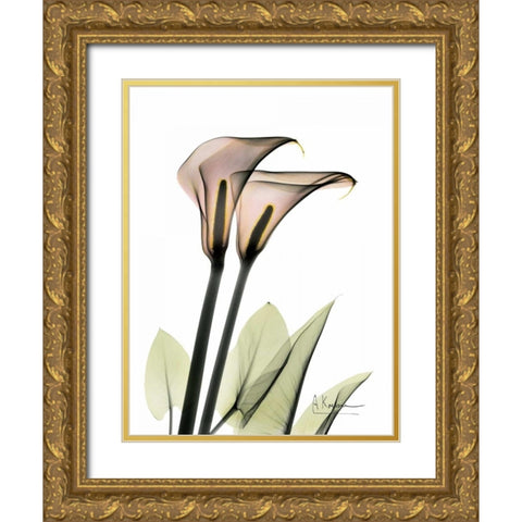 Calla Lily Pair Gold Ornate Wood Framed Art Print with Double Matting by Koetsier, Albert
