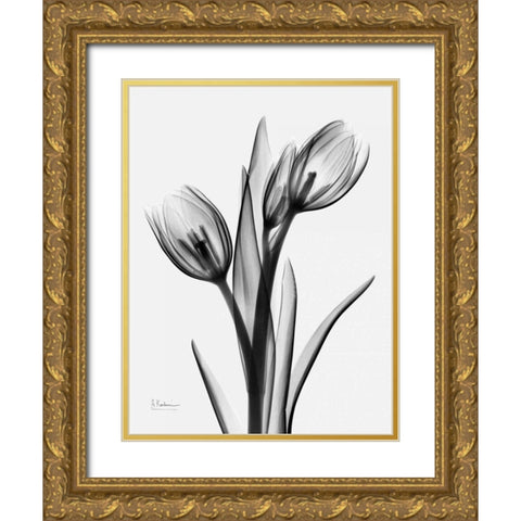 Tulips H37 Gold Ornate Wood Framed Art Print with Double Matting by Koetsier, Albert