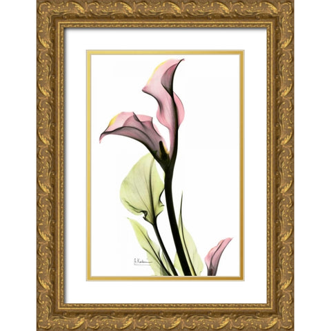 Calla Lily in Pink Gold Ornate Wood Framed Art Print with Double Matting by Koetsier, Albert