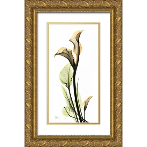 Calla Lily Gold Ornate Wood Framed Art Print with Double Matting by Koetsier, Albert