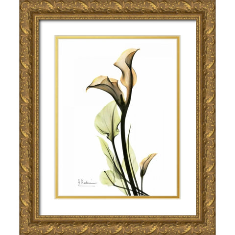 Calla Lily Duo Gold Ornate Wood Framed Art Print with Double Matting by Koetsier, Albert