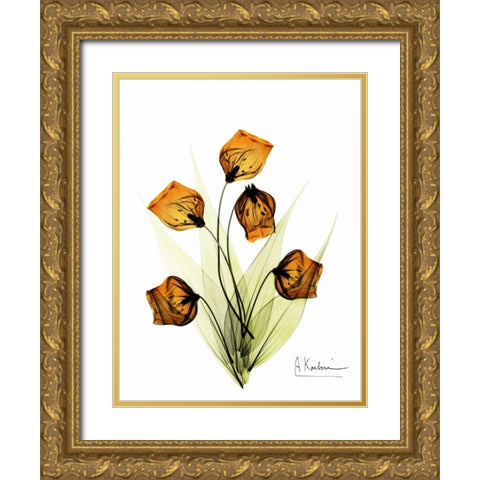 Sandersonia in Gold Gold Ornate Wood Framed Art Print with Double Matting by Koetsier, Albert