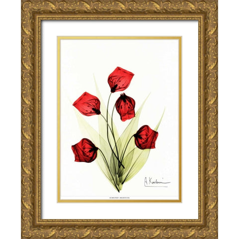 Sandersonia in Red 2 Gold Ornate Wood Framed Art Print with Double Matting by Koetsier, Albert