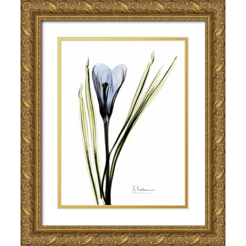 Crocus in Blue Gold Ornate Wood Framed Art Print with Double Matting by Koetsier, Albert