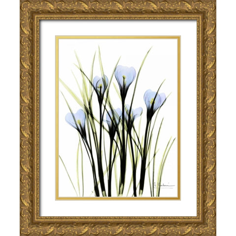 Crocus C38 Gold Ornate Wood Framed Art Print with Double Matting by Koetsier, Albert