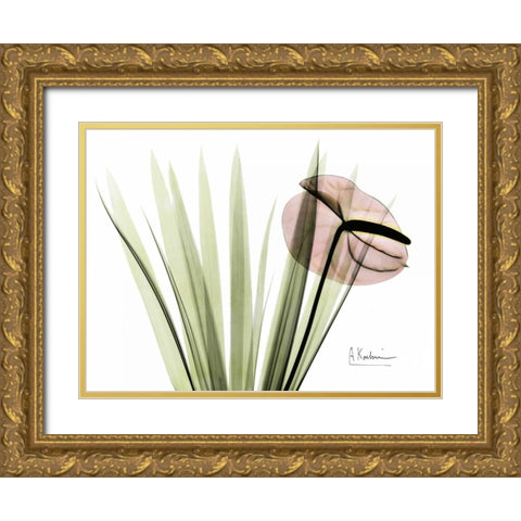 Flamingo Plant in Color Gold Ornate Wood Framed Art Print with Double Matting by Koetsier, Albert
