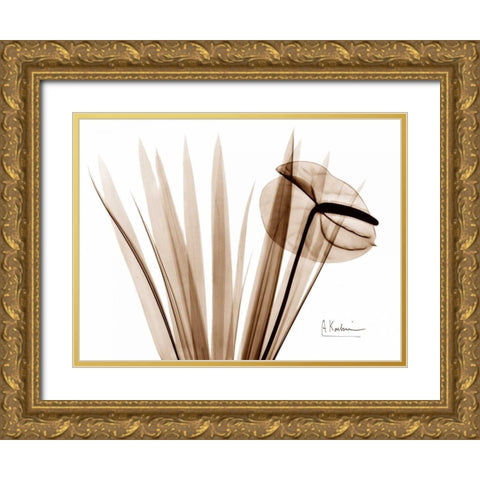 Flamingo Plant Gold Ornate Wood Framed Art Print with Double Matting by Koetsier, Albert