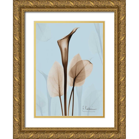 Calla Lily Brown on Blue 2 Gold Ornate Wood Framed Art Print with Double Matting by Koetsier, Albert