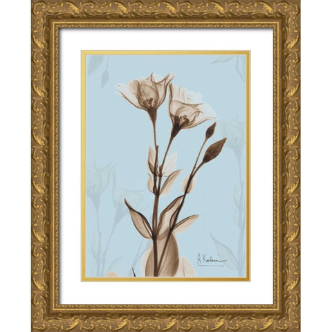 Tulips Brown on Blue Gold Ornate Wood Framed Art Print with Double Matting by Koetsier, Albert