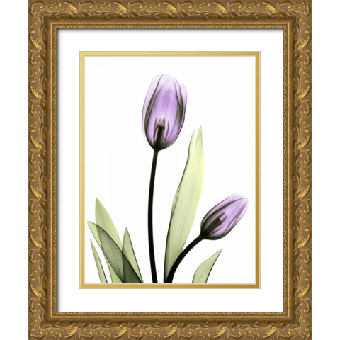 Purple Tulips Gold Ornate Wood Framed Art Print with Double Matting by Koetsier, Albert