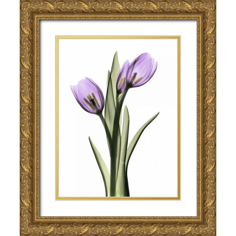 Purple Tulips 2 Gold Ornate Wood Framed Art Print with Double Matting by Koetsier, Albert