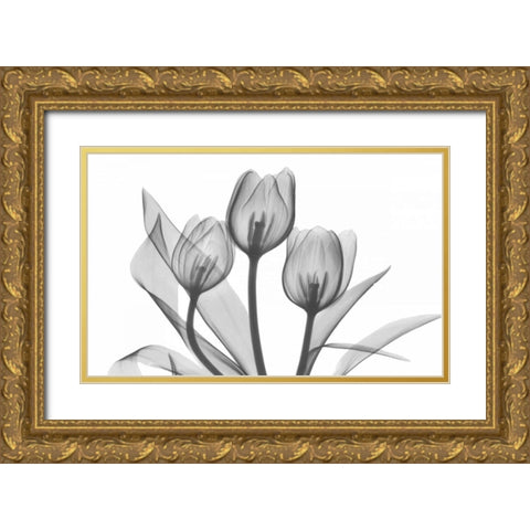 Tulips Three in BandW Gold Ornate Wood Framed Art Print with Double Matting by Koetsier, Albert