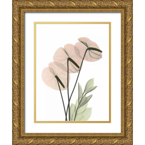 Flamingo in Color Gold Ornate Wood Framed Art Print with Double Matting by Koetsier, Albert