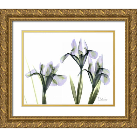 Blue Iris Triple Gold Ornate Wood Framed Art Print with Double Matting by Koetsier, Albert