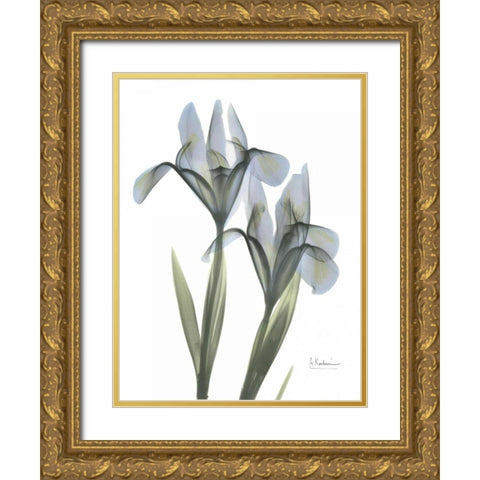 Japanese Iris Gold Ornate Wood Framed Art Print with Double Matting by Koetsier, Albert