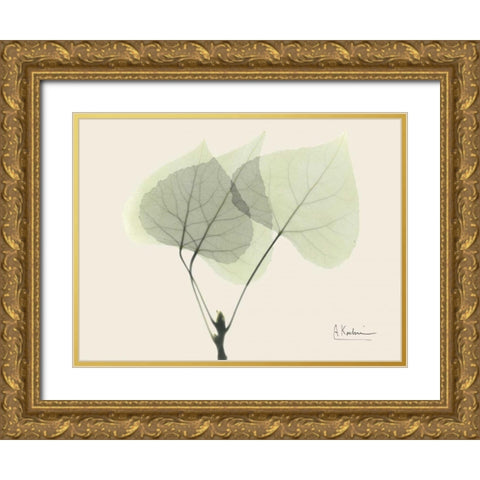 Aspen on Beige Gold Ornate Wood Framed Art Print with Double Matting by Koetsier, Albert