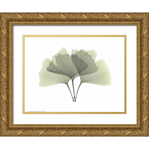 Ginkgo Gold Ornate Wood Framed Art Print with Double Matting by Koetsier, Albert