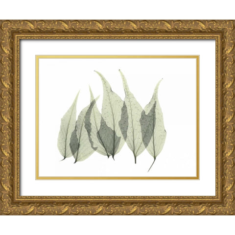 Japanese Fern Gold Ornate Wood Framed Art Print with Double Matting by Koetsier, Albert