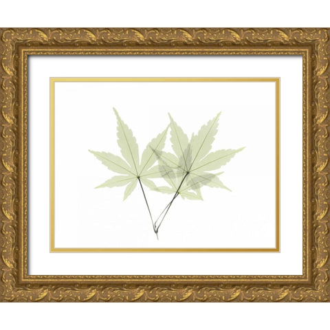 Japanese Maple Gold Ornate Wood Framed Art Print with Double Matting by Koetsier, Albert