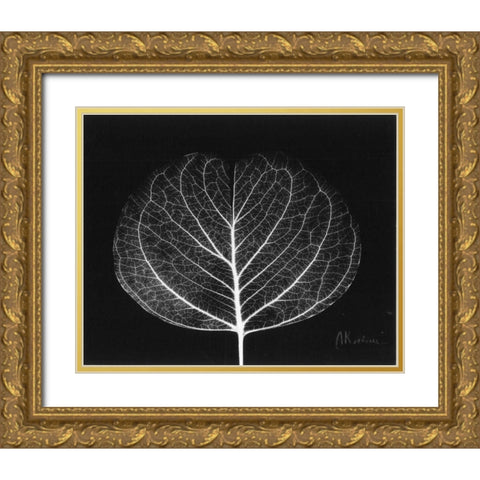 Eucalyptus Close Up on Black Gold Ornate Wood Framed Art Print with Double Matting by Koetsier, Albert