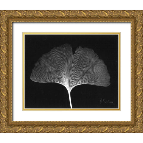 Ginkgo Single Leaf  Close Up on Black Gold Ornate Wood Framed Art Print with Double Matting by Koetsier, Albert