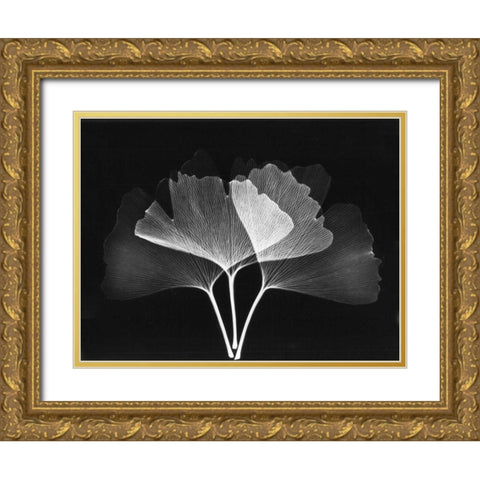 Ginkgo Leaves Close Up on Black 2 Gold Ornate Wood Framed Art Print with Double Matting by Koetsier, Albert