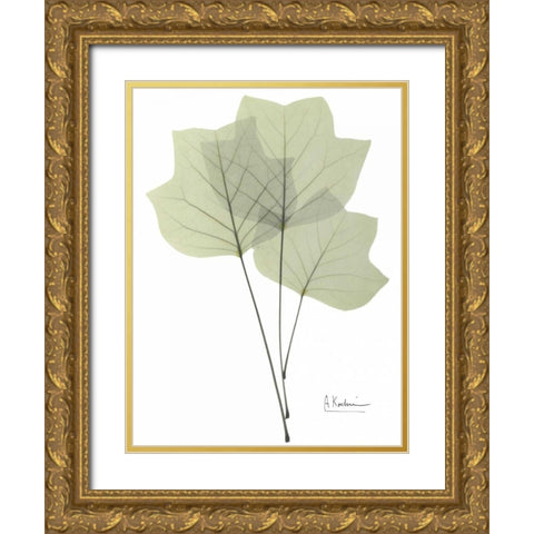 Tulip Tree in Green Gold Ornate Wood Framed Art Print with Double Matting by Koetsier, Albert