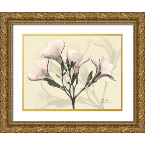 Oleander in Pink on Beige Gold Ornate Wood Framed Art Print with Double Matting by Koetsier, Albert