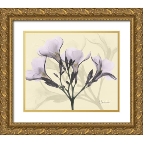 Oleander in Purple on Beige Gold Ornate Wood Framed Art Print with Double Matting by Koetsier, Albert