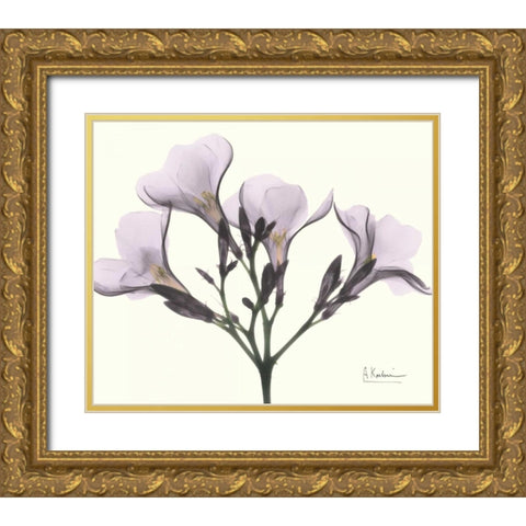 Oleander in Purple Gold Ornate Wood Framed Art Print with Double Matting by Koetsier, Albert